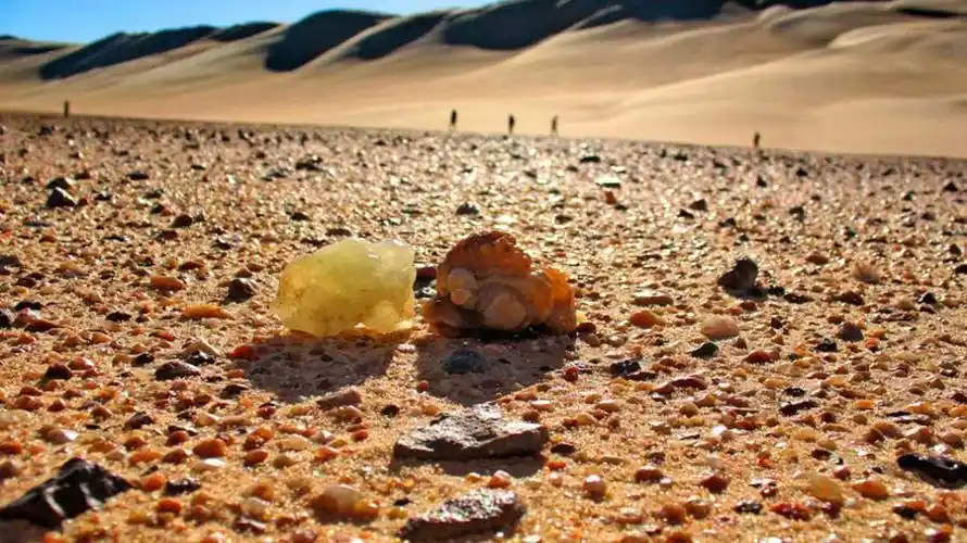 Silica Glass Field Egypt Travel Booking